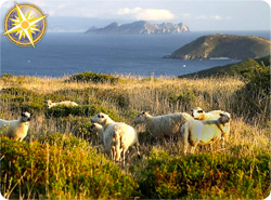 Galicia islands
