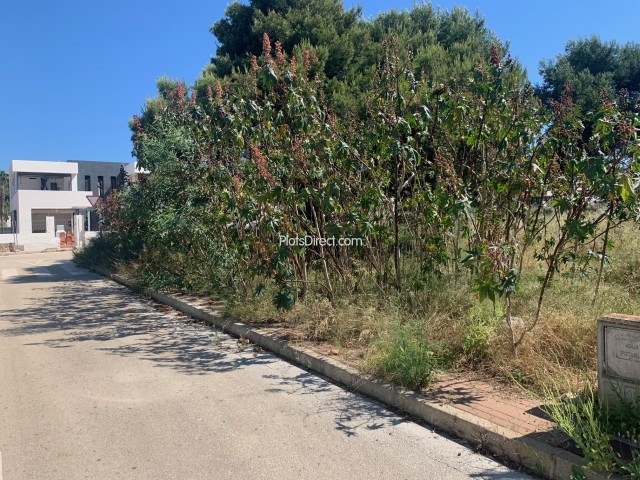 PDVAL3713  plot for sale in Javea / Xàbia - Photo 2