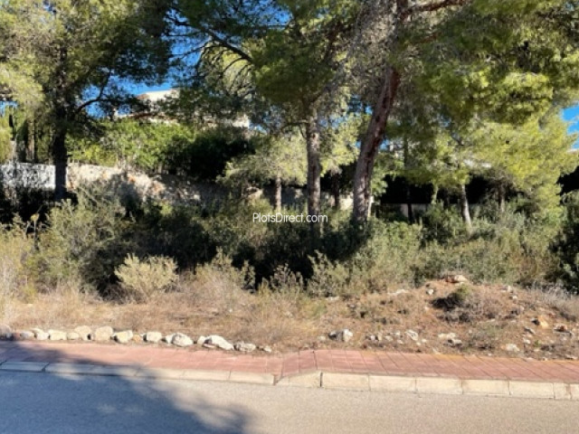 PDVAL3858  plot for sale in Javea / Xàbia - Photo 3