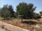 PDVAL3620  plot for sale in Javea / Xàbia - Photo 4