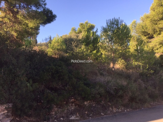 PDVAL3731  plot for sale in Javea / Xàbia - Photo 4