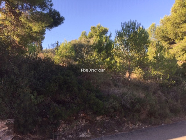 PDVAL3731  plot for sale in Javea / Xàbia - Photo 4