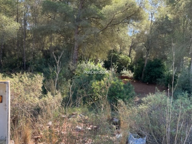 PDVAL3734  plot for sale in Javea / Xàbia - Photo 3