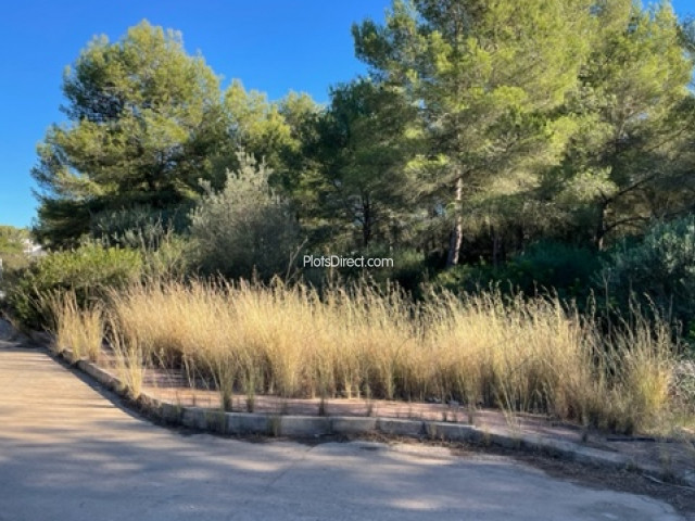 PDVAL3734  plot for sale in Javea / Xàbia - Photo 4