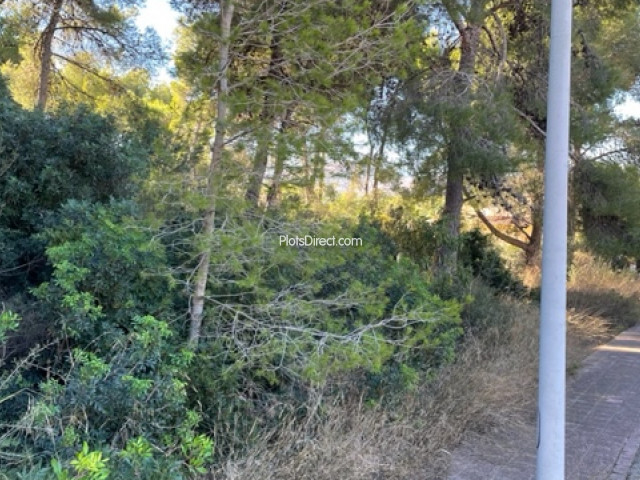 PDVAL3860  plot for sale in Javea / Xàbia - Photo 4