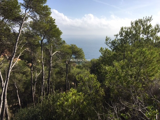 PDVAL3615  plot for sale in Javea / Xàbia - Photo 2