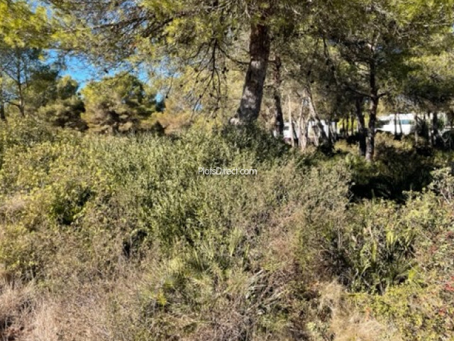 PDVAL3861  plot for sale in Javea / Xàbia - Photo 3