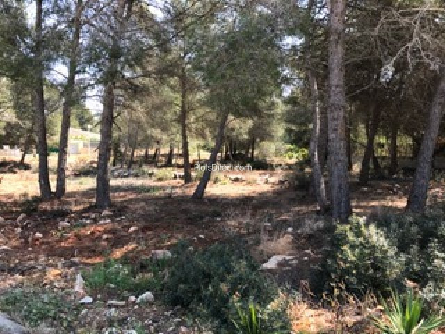 PDVAL3621  plot for sale in Javea / Xàbia - Photo 3