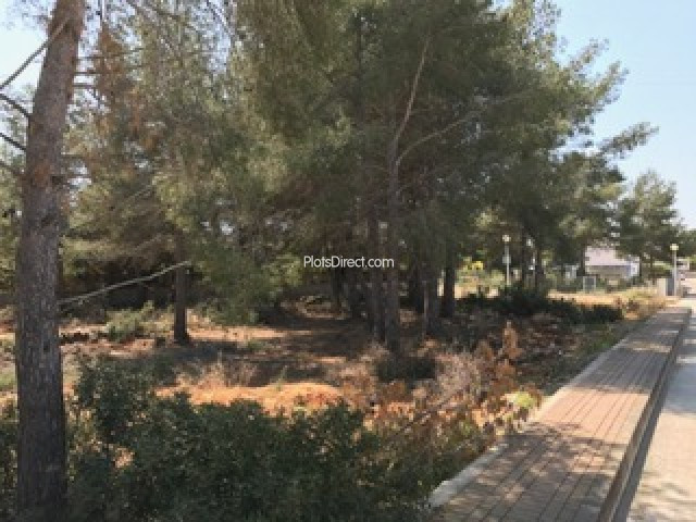 PDVAL3621  plot for sale in Javea / Xàbia - Photo 4