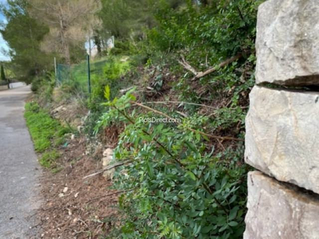 PDVAL3832  plot for sale in Javea / Xàbia - Photo 9