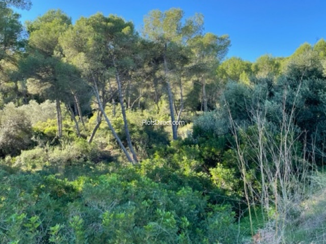 PDVAL3833  plot for sale in Javea / Xàbia - Photo 2