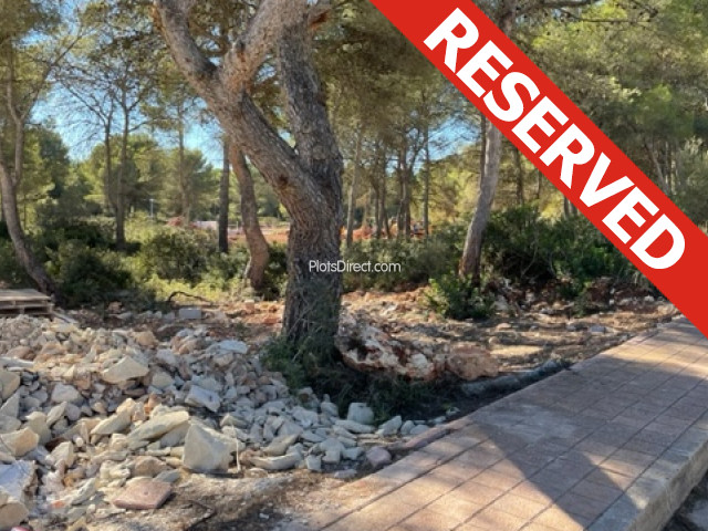 This property is reserved