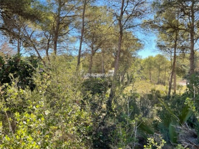 PDVAL3863  plot for sale in Javea / Xàbia - Photo 3