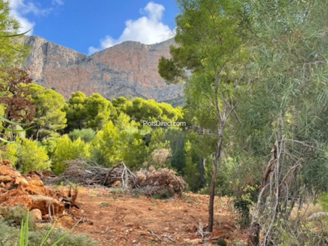 PDVAL3727  plot for sale in Javea / Xàbia - Photo 3