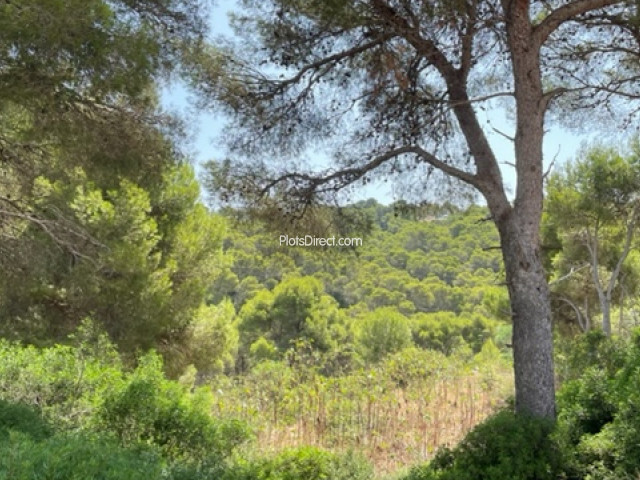 PDVAL1045  plot for sale in Javea / Xàbia - Photo 6