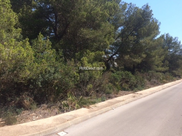 PDVAL3558  plot for sale in Javea / Xàbia - Photo 3