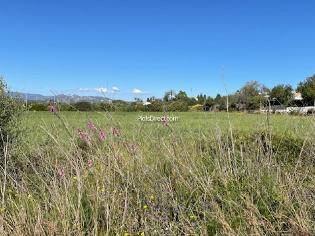 PDVAL3876  plot for sale in Javea / Xàbia - Photo 4