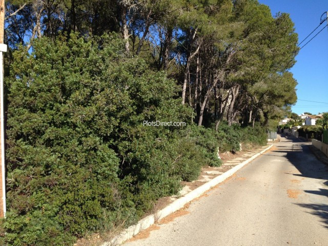 PDVAL1051  plot for sale in Javea / Xàbia - Photo 3