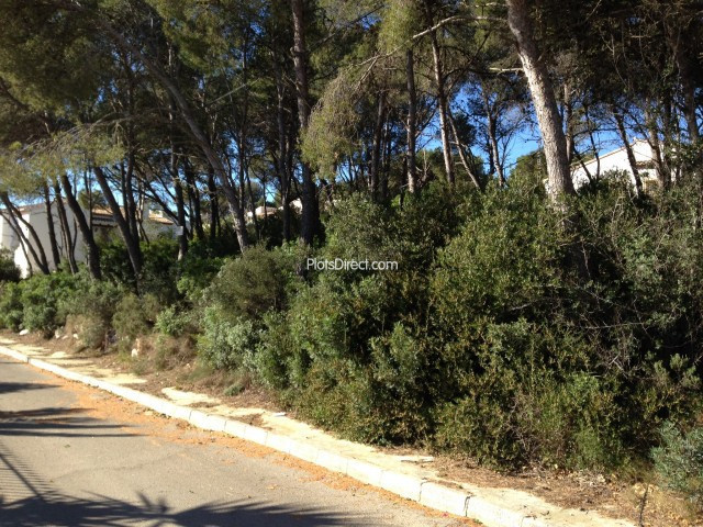 PDVAL1051  plot for sale in Javea / Xàbia - Photo 4