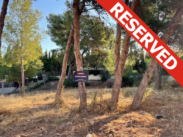 This property is reserved