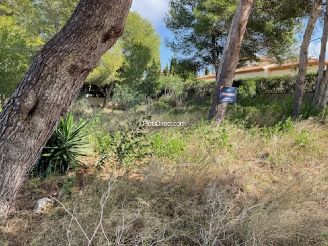 PDVAL3855  plot for sale in Javea / Xàbia - Photo 2