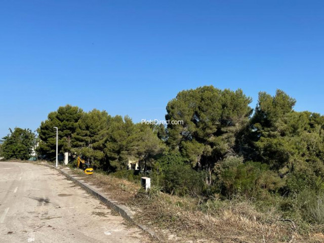 PDVAL3881  plot for sale in Javea / Xàbia - Photo 2