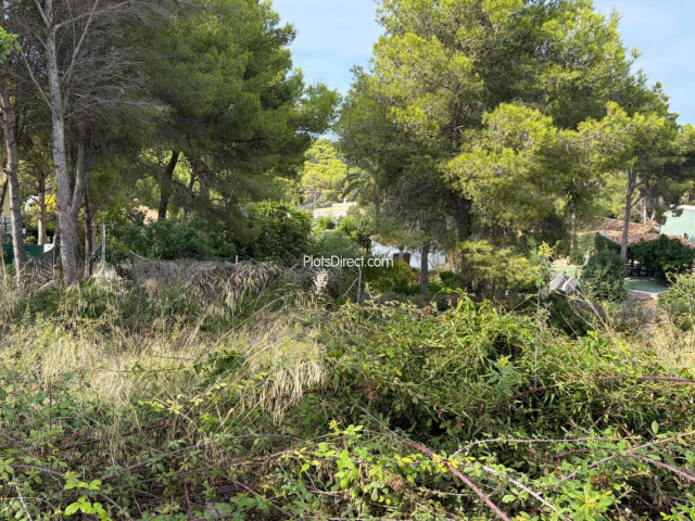 PDVAL3881  plot for sale in Javea / Xàbia - Photo 3