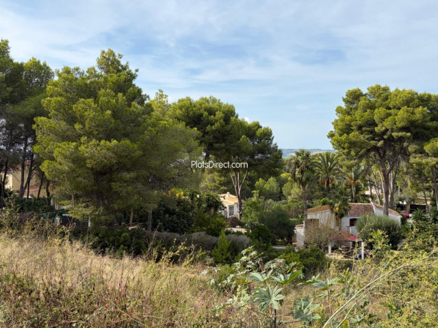 PDVAL3881  plot for sale in Javea / Xàbia - Photo 4