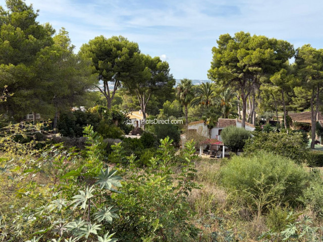 PDVAL3881  plot for sale in Javea / Xàbia - Photo 5