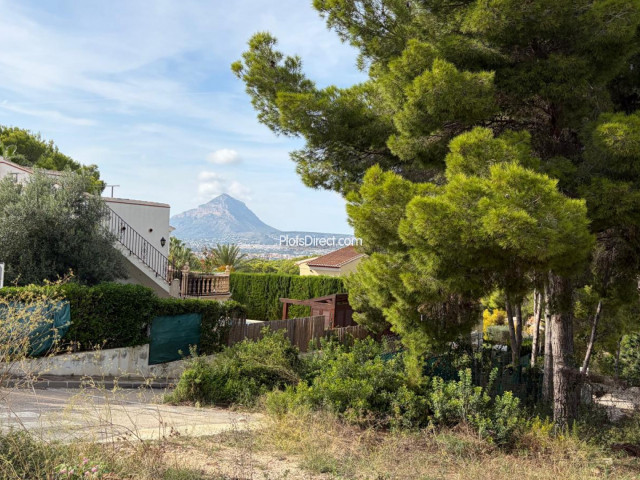PDVAL3881  plot for sale in Javea / Xàbia - Photo 6