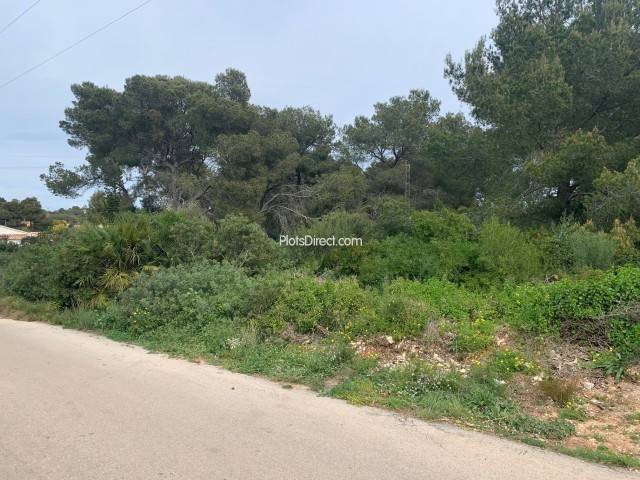 PDVAL3708  plot for sale in Javea / Xàbia - Photo 4