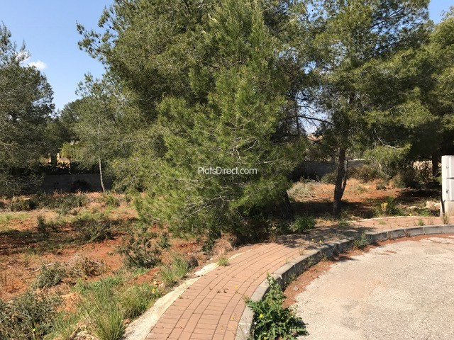 PDVAL3618  plot for sale in Javea / Xàbia - Photo 4