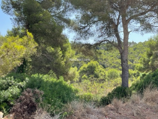 PDVAL1645  plot for sale in Javea / Xàbia - Photo 6