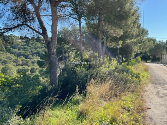 PDVAL1645  plot for sale in Javea / Xàbia - Photo 10