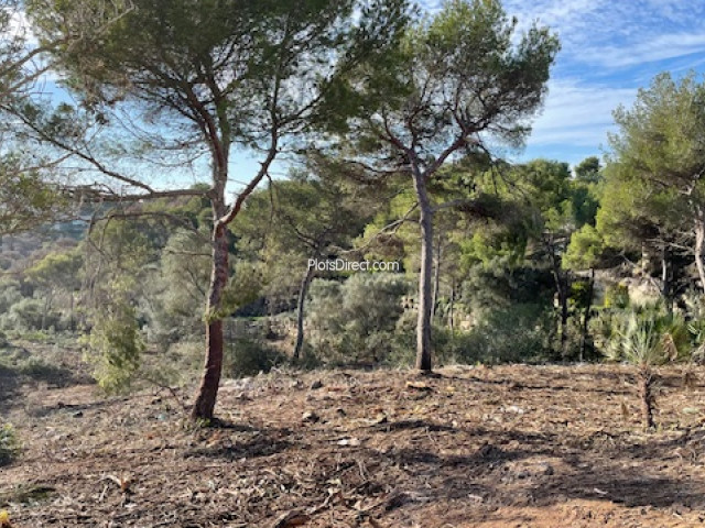 PDVAL1645  plot for sale in Javea / Xàbia - Photo 12