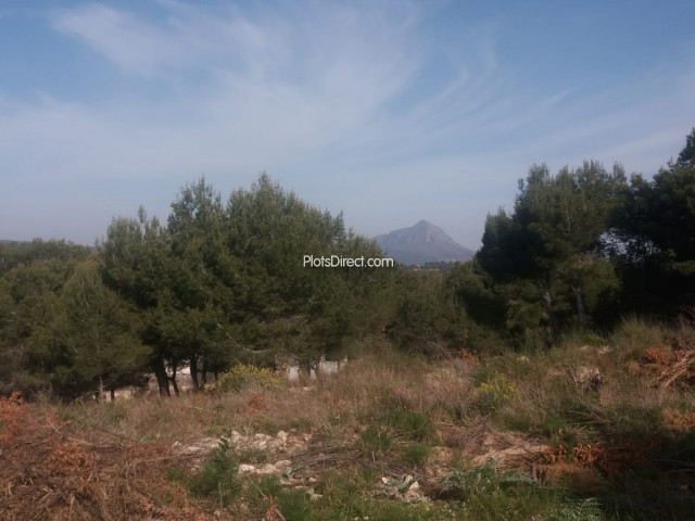 PDVAL1745  plot for sale in Javea / Xàbia - Photo 7