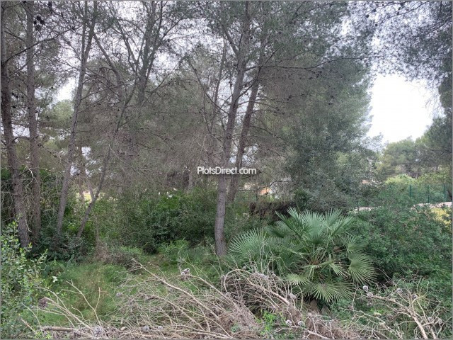 PDVAL3709  plot for sale in Javea / Xàbia - Photo 3