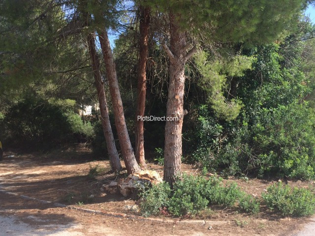 PDVAL3458  plot for sale in Javea / Xàbia - Photo 3