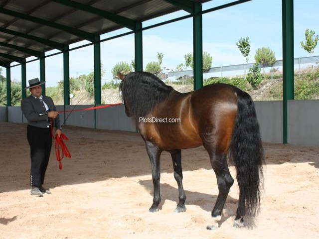 PDVAL3479 Resale villa for sale in Javea / Xàbia - Photo 17