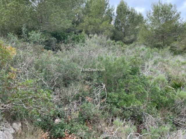 PDVAL3796  plot for sale in Javea / Xàbia - Photo 2