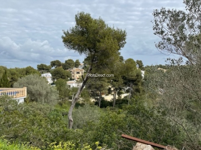 PDVAL3796  plot for sale in Javea / Xàbia - Photo 4