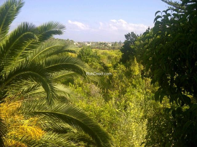 PDVAL2090 Resale villa for sale in Denia - Photo 8